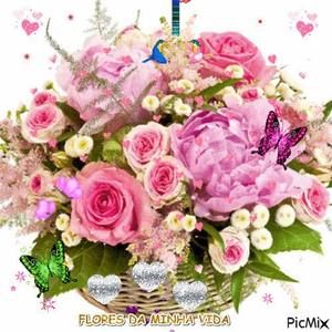 Meet your Posher, Nayely